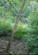 Zdjęcie 6