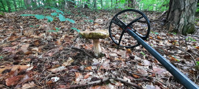 Zdjęcie 3