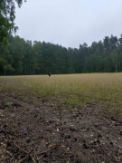 Zdjęcie 16