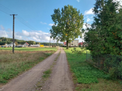 Zdjęcie 6