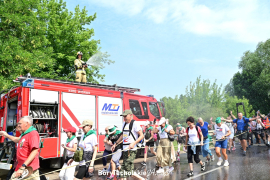 Zdjęcie 172