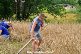 Zdjęcie 12
