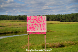 Zdjęcie 40