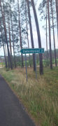 Zdjęcie 53