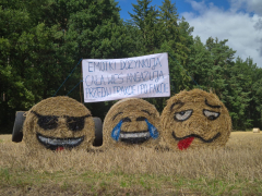 Zdjęcie 7