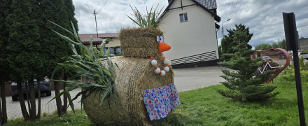 Zdjęcie 9