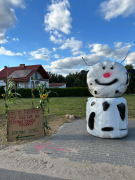 Zdjęcie 15