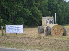 Zdjęcie 18
