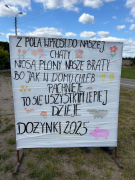 Zdjęcie 20