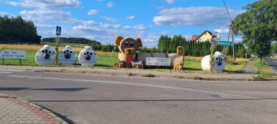 Zdjęcie 21