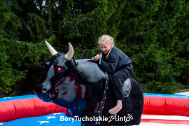 Zdjęcie 91