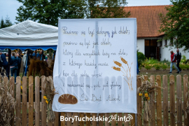 Zdjęcie 137