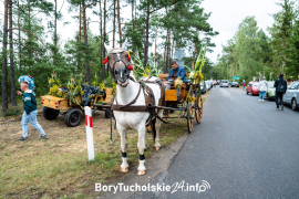 Zdjęcie 142