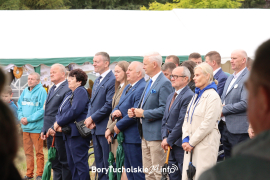Zdjęcie 11