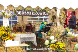 Zdjęcie 19