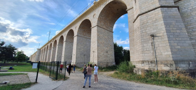 Zdjęcie 10