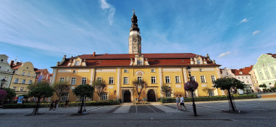 Zdjęcie 12