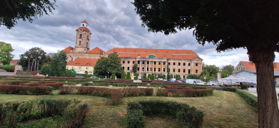 Zdjęcie 28
