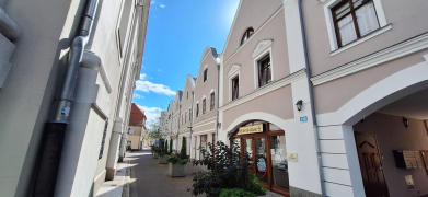 Zdjęcie 51