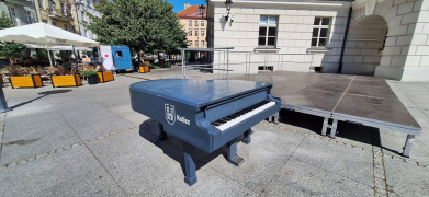 Zdjęcie 58
