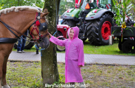 Zdjęcie 199