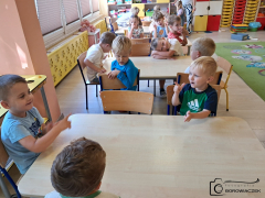 Zdjęcie 15