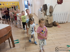 Zdjęcie 16