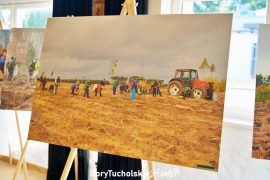 Zdjęcie 12