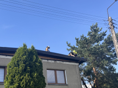 Zdjęcie 1