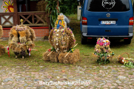 Zdjęcie 49