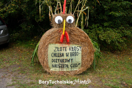 Zdjęcie 58
