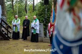 Zdjęcie 91