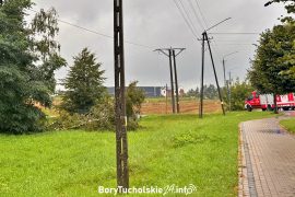 Zdjęcie 1