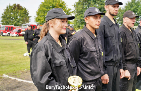 Zdjęcie 295