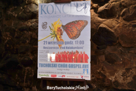 Zdjęcie 9