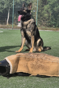 Zdjęcie 1