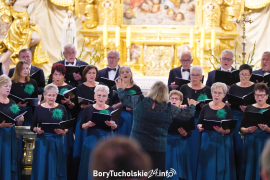Zdjęcie 201