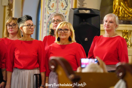 Zdjęcie 246