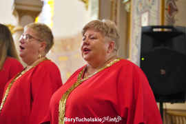 Zdjęcie 263