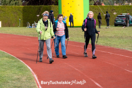 Zdjęcie 258