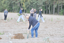 Zdjęcie 16