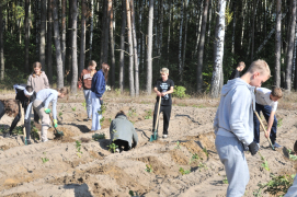 Zdjęcie 31