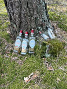 Zdjęcie 6