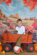 Zdjęcie 6