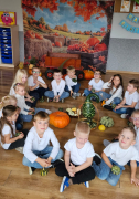 Zdjęcie 7