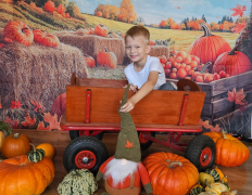 Zdjęcie 12