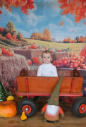 Zdjęcie 17