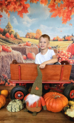 Zdjęcie 19