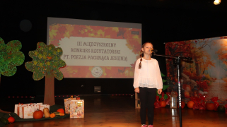 Zdjęcie 31