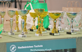 Zdjęcie 185